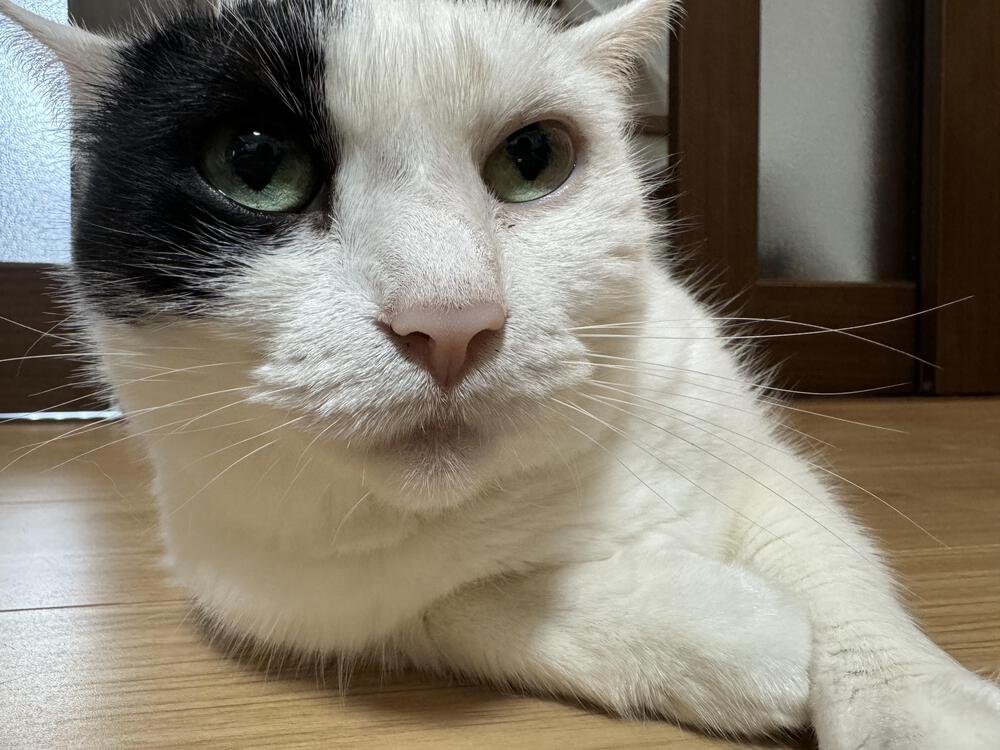 プロフィール画像