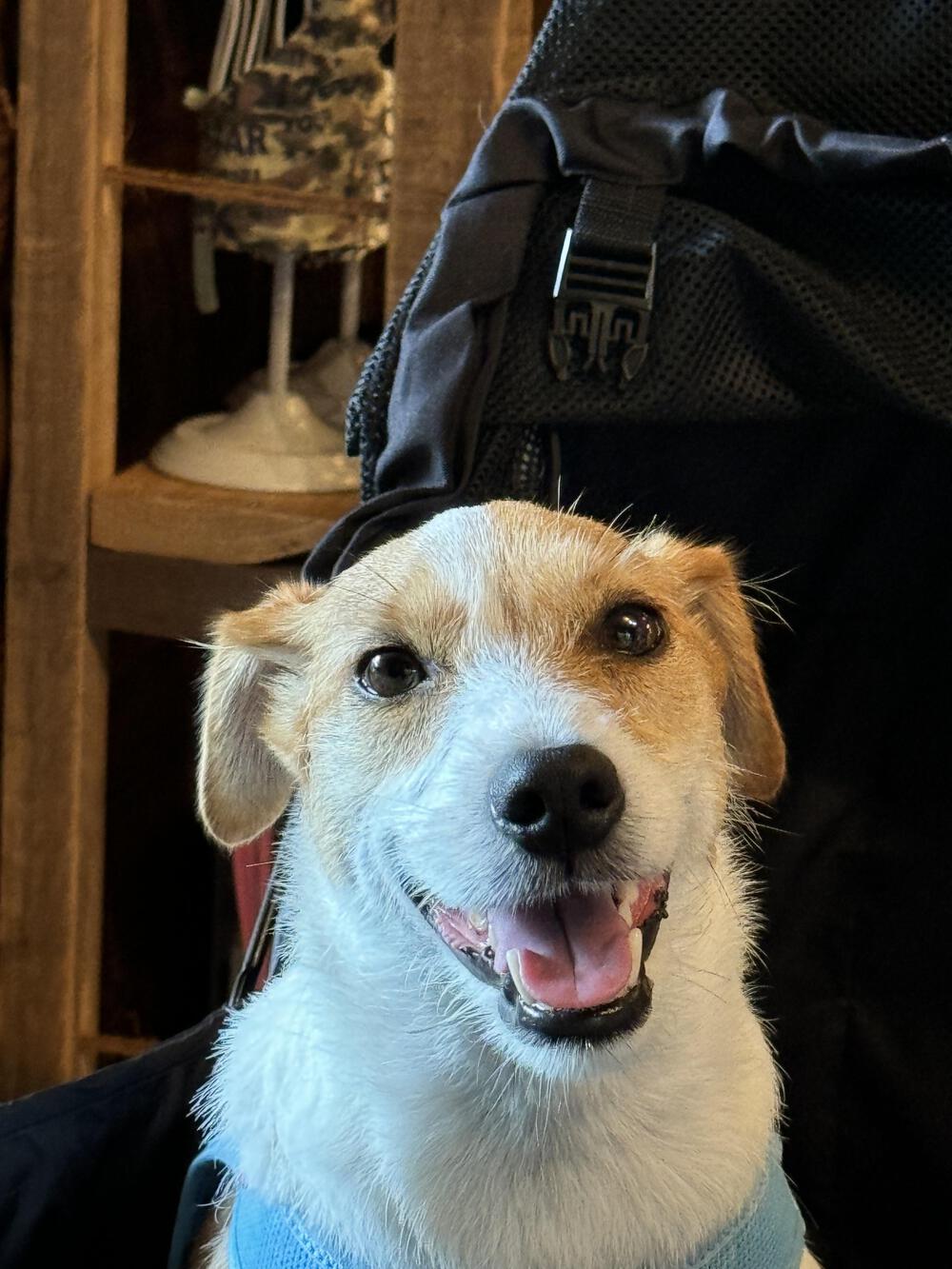 mogu.ogura@icloud.com