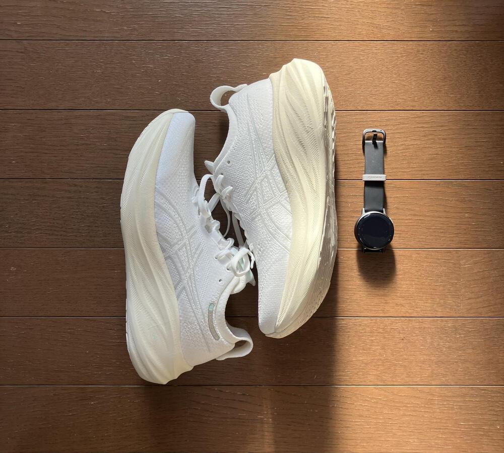 はしるよめめさん