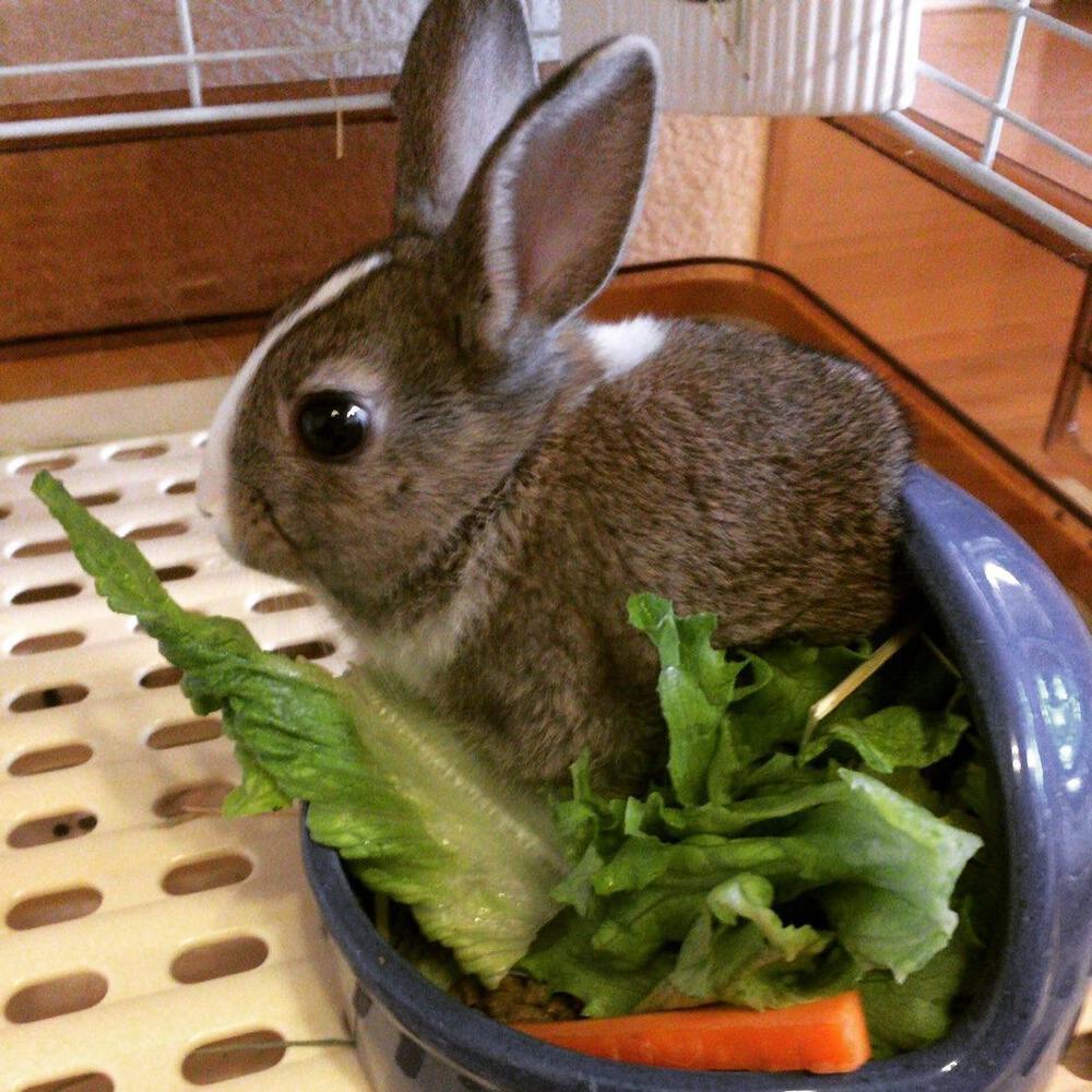 ブルース⭐︎リー