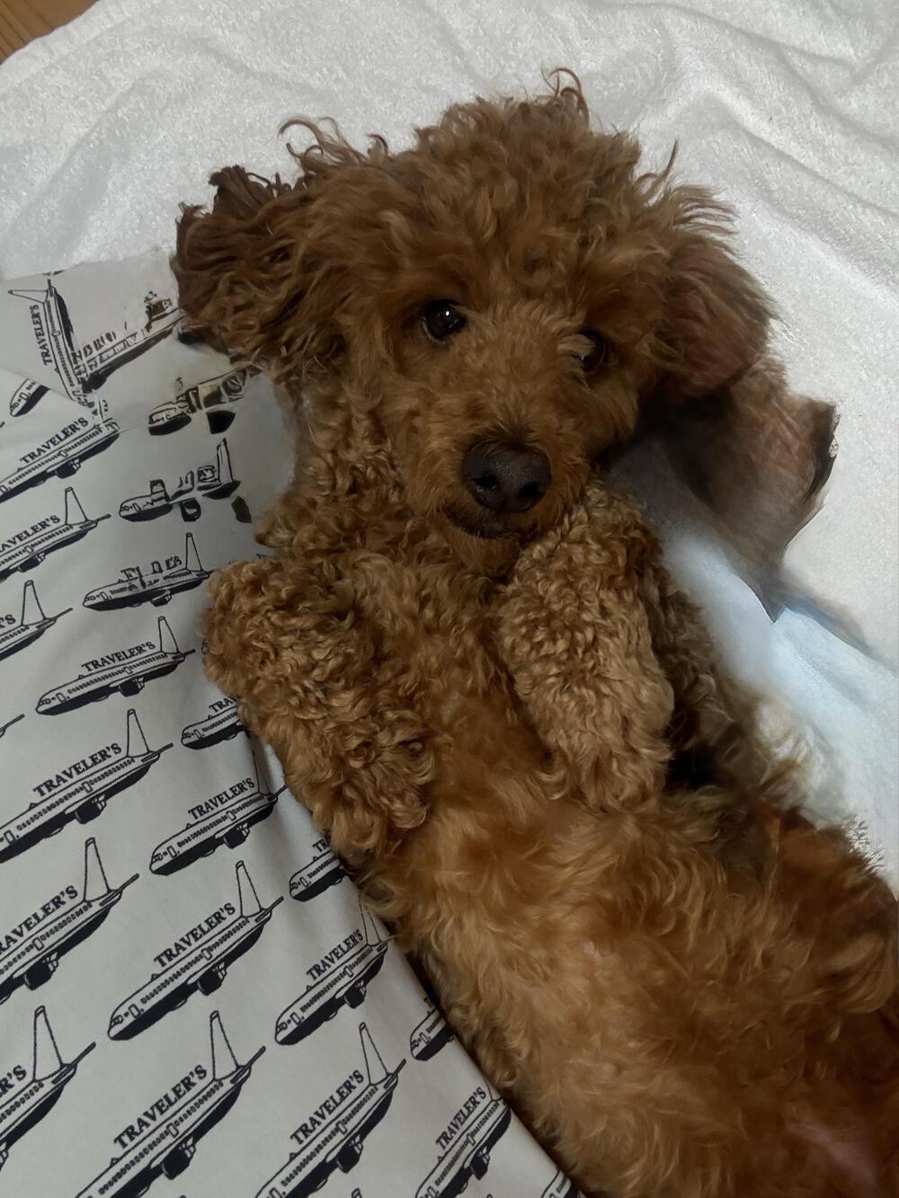 プロフィール画像