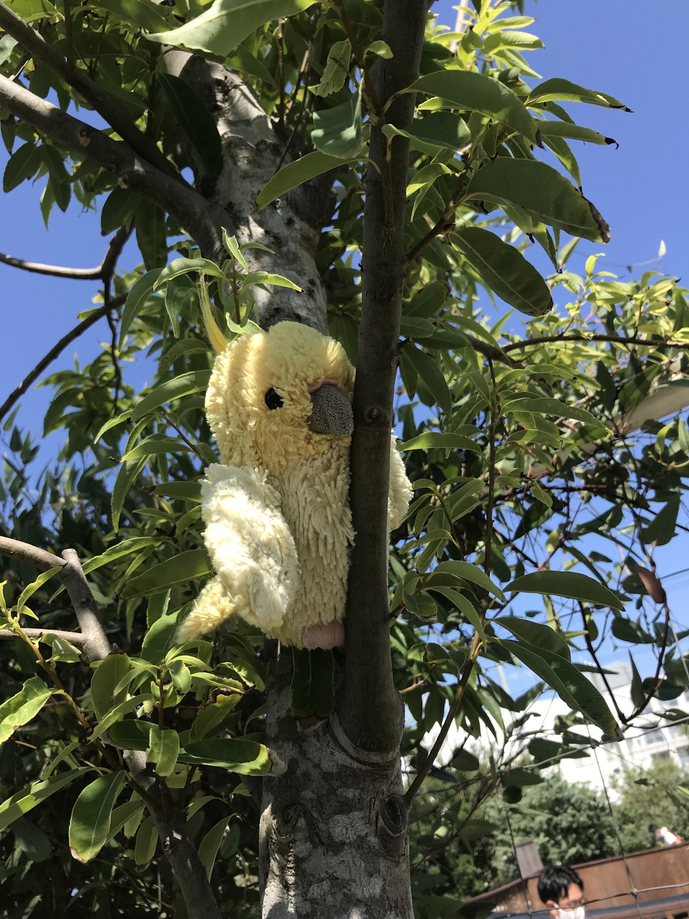 プロフィール画像