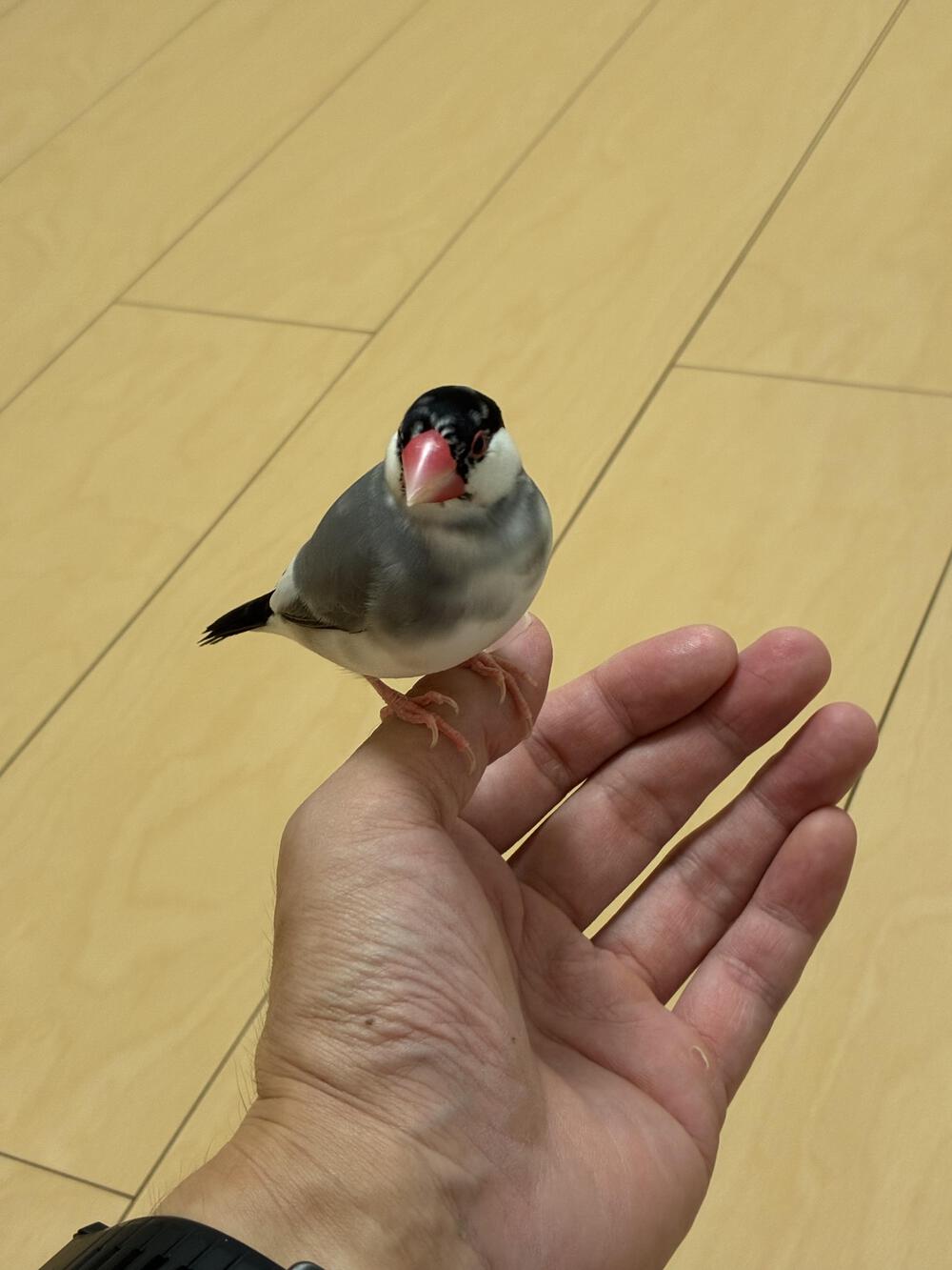 プロフィール画像