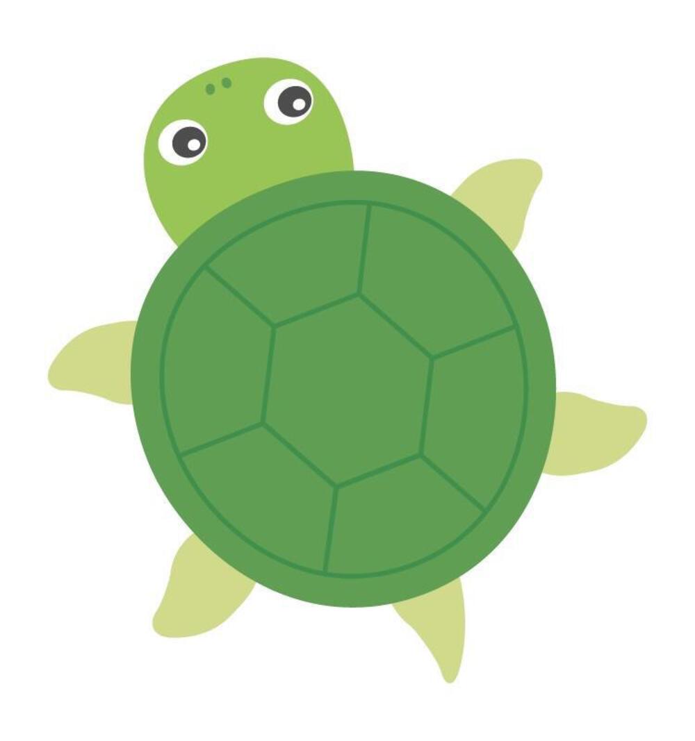 かめさん🐢