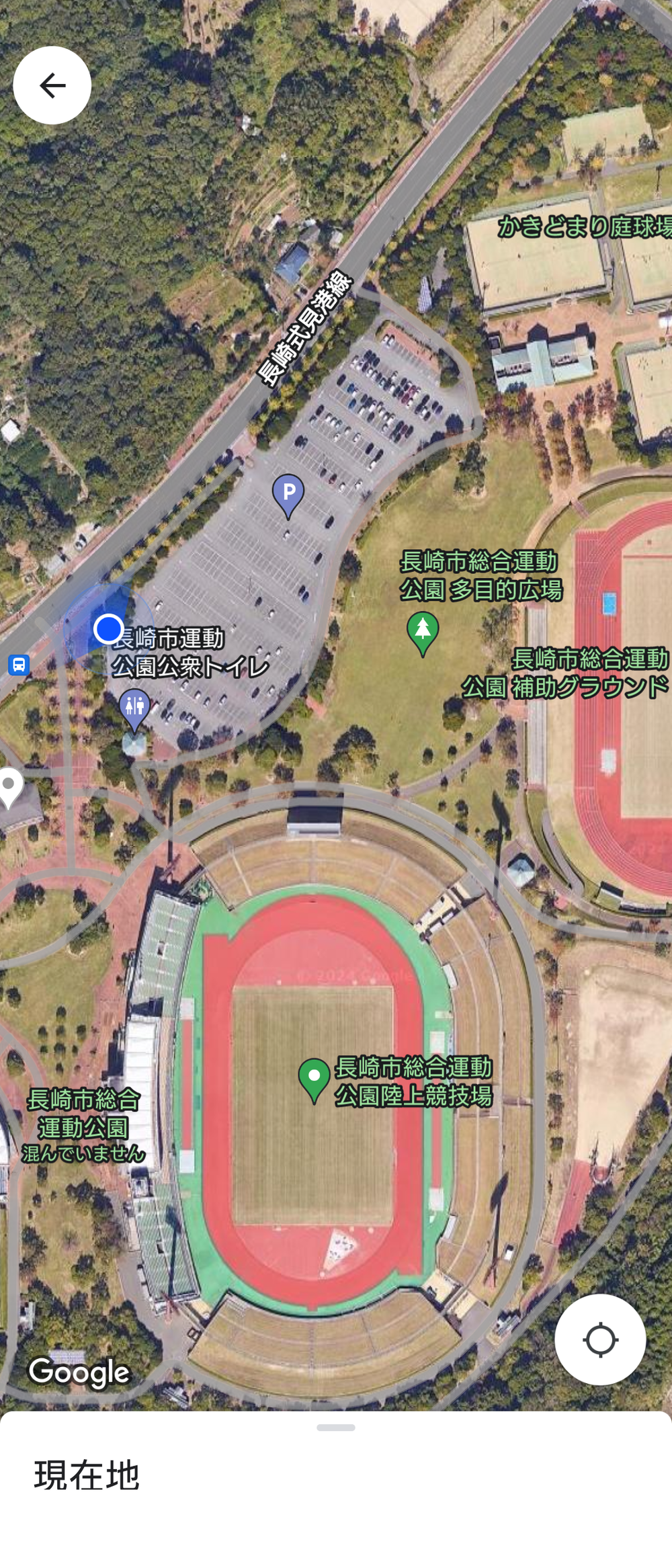 lingen1973@gmail.com