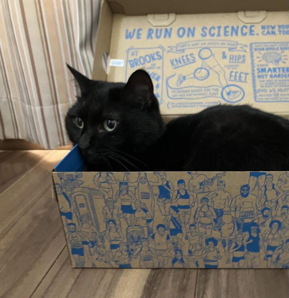 リツコ(バタコさん)