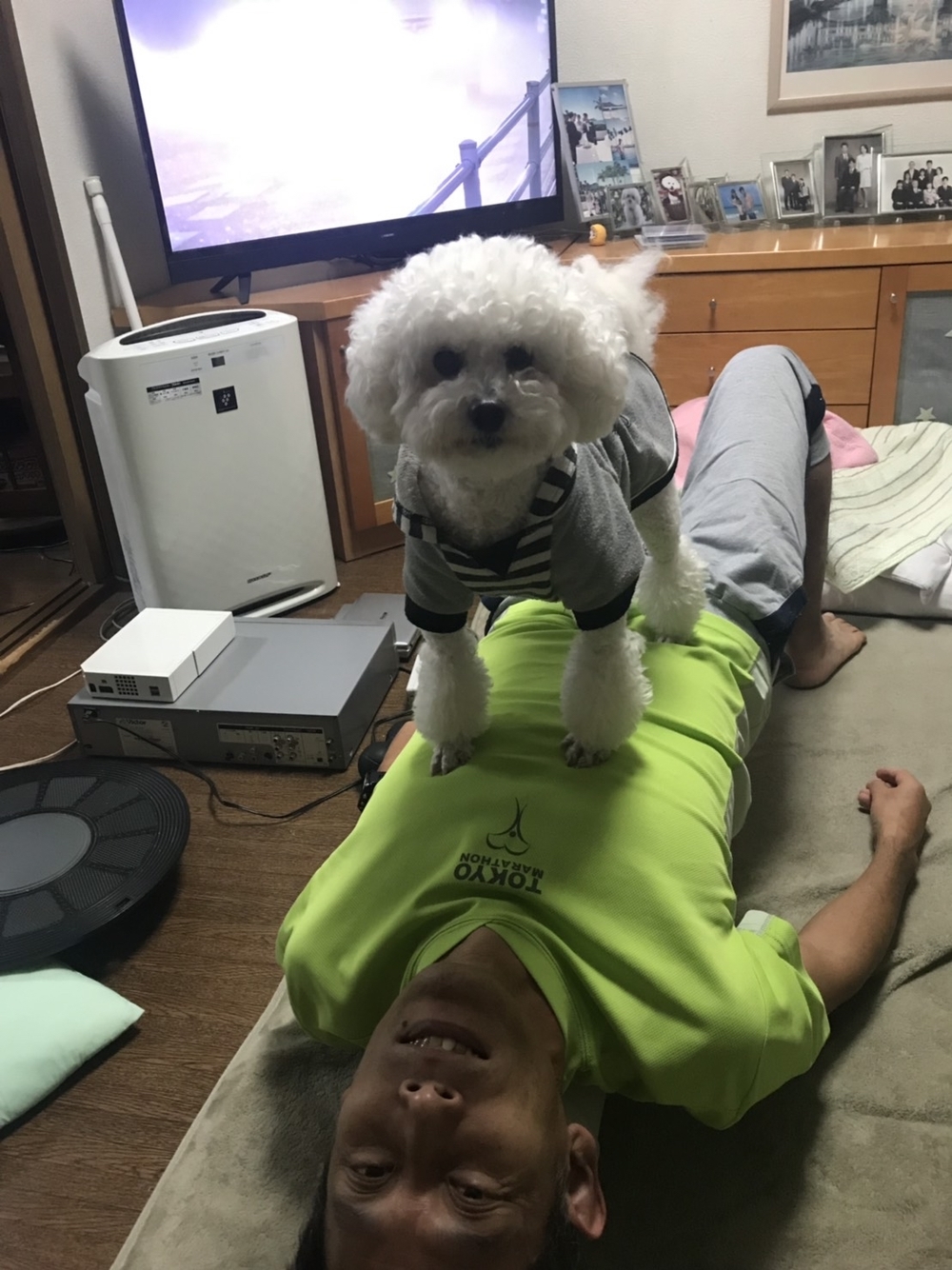 プロフィール画像