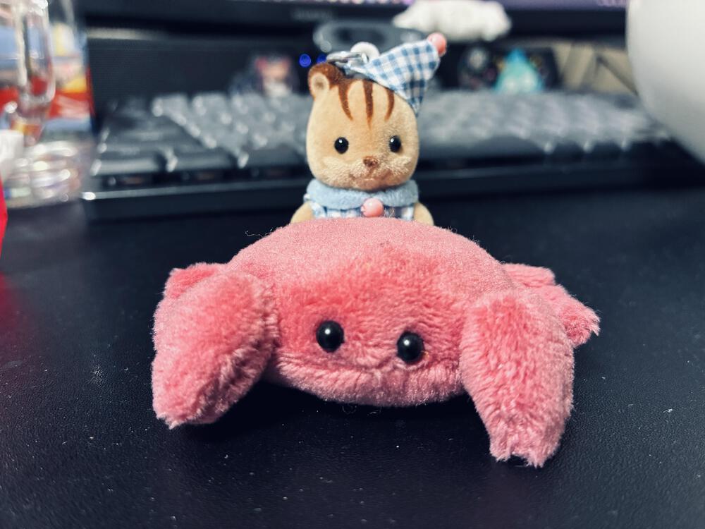 もん