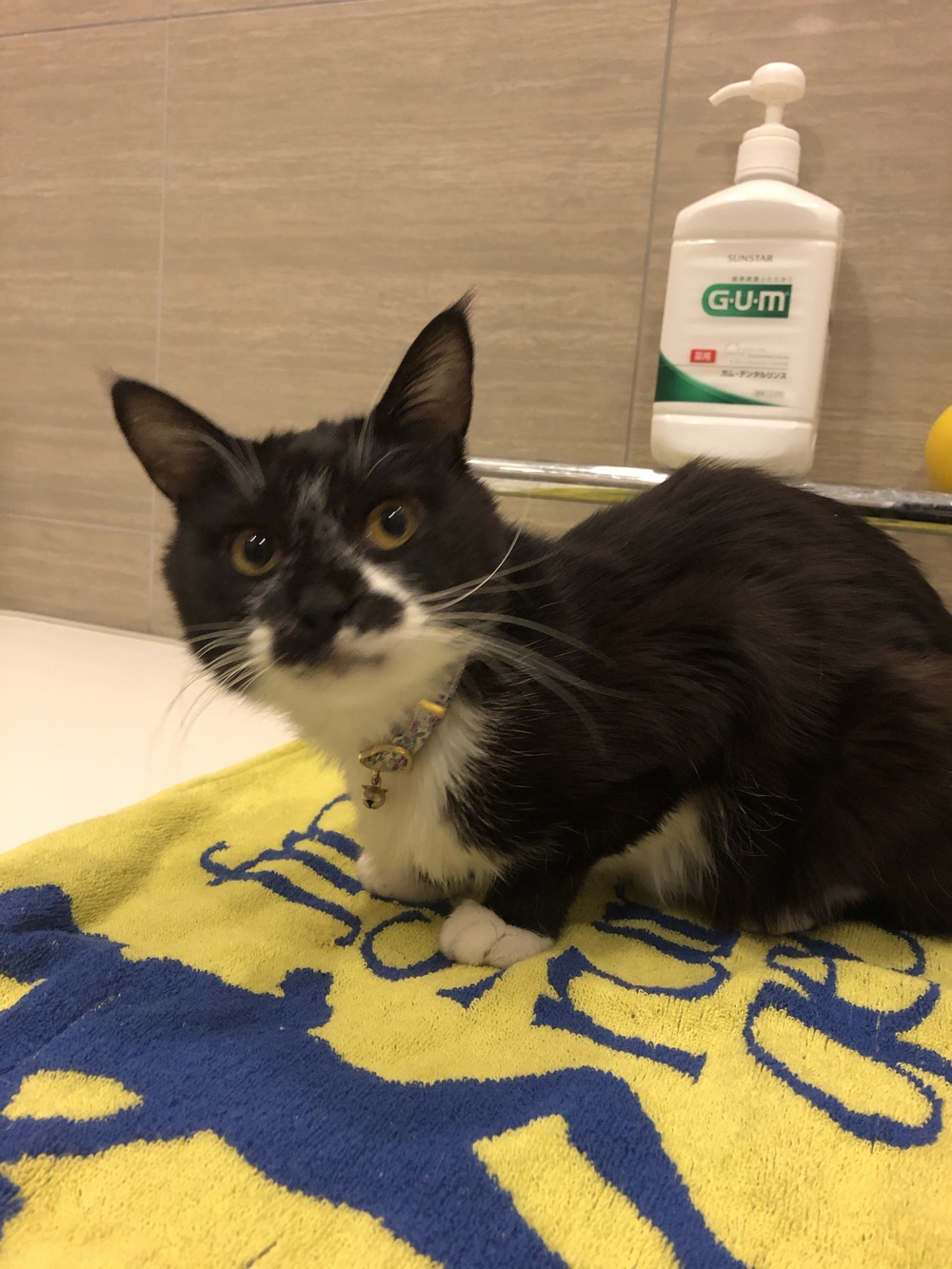 プロフィール画像