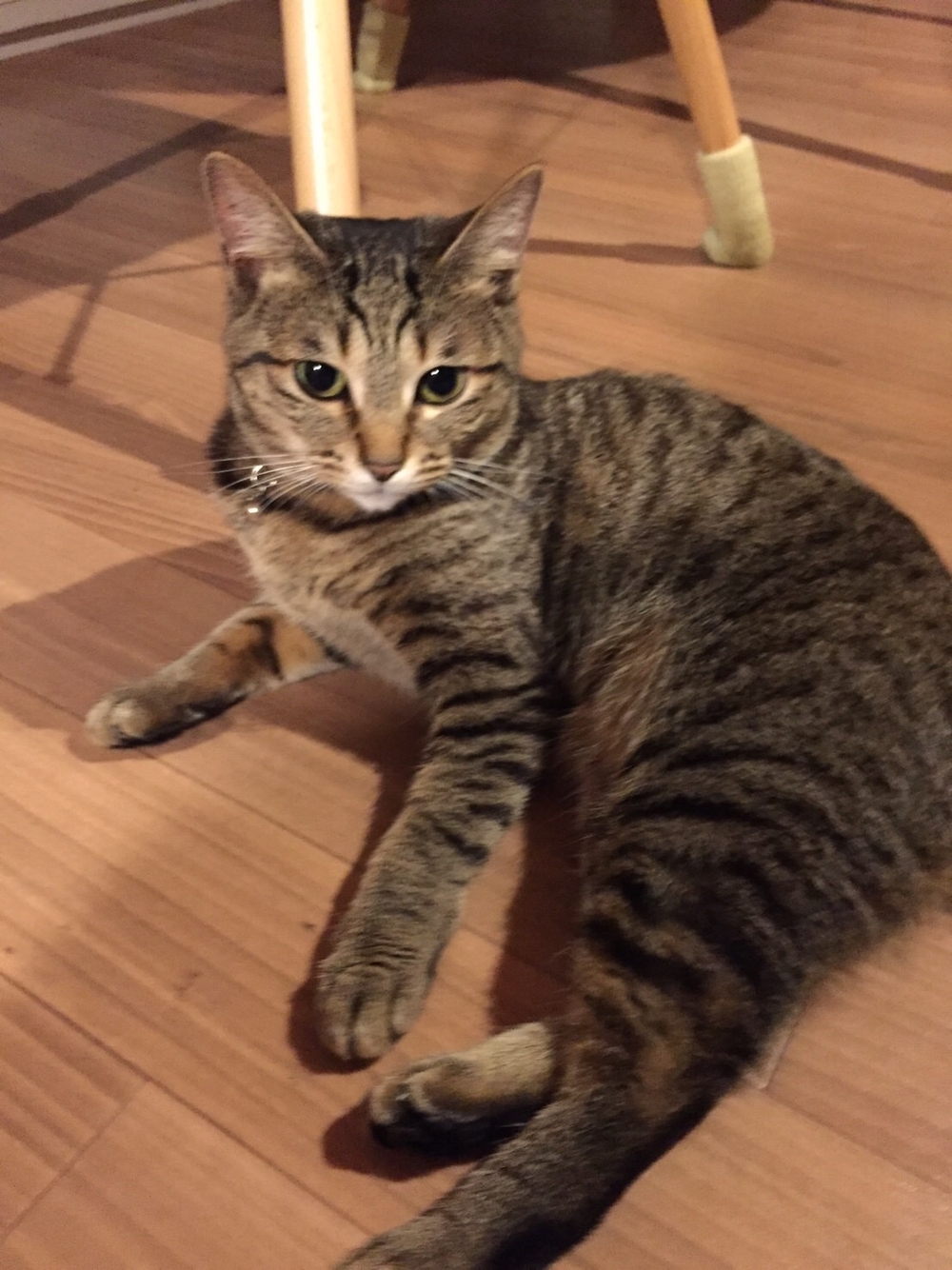 プロフィール画像