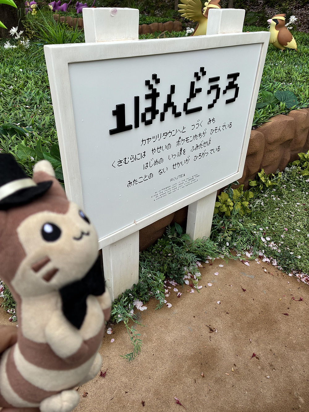 ミカン