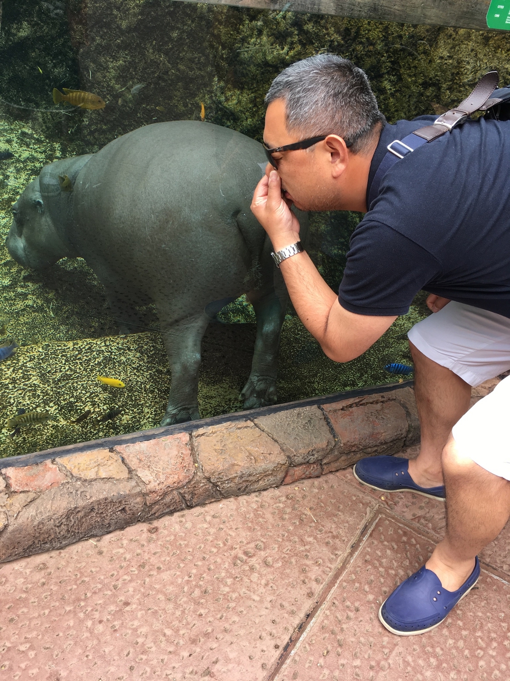 ウスターソース