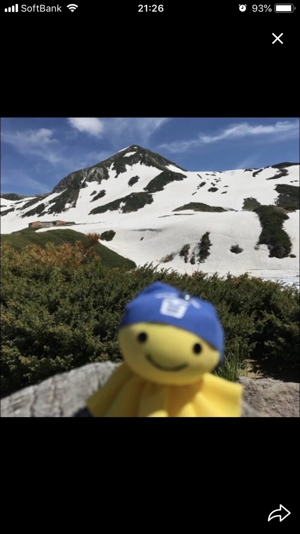 プロフィール画像