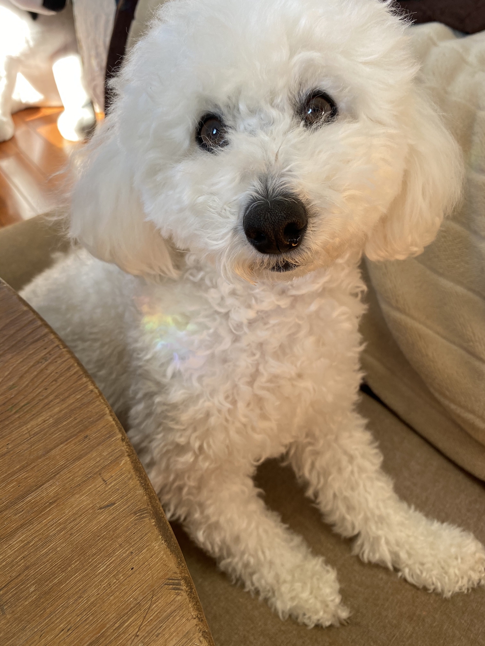 プロフィール画像