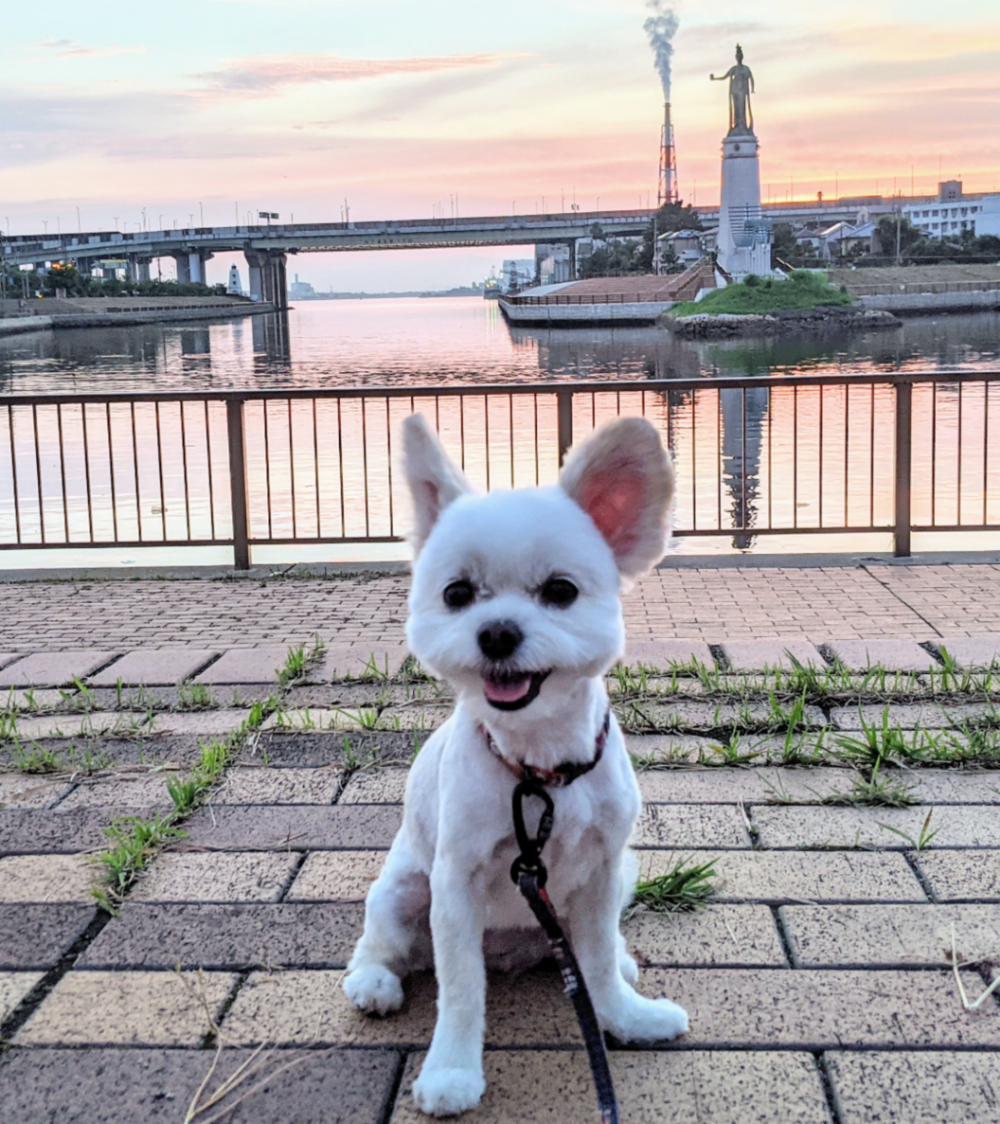 プロフィール画像