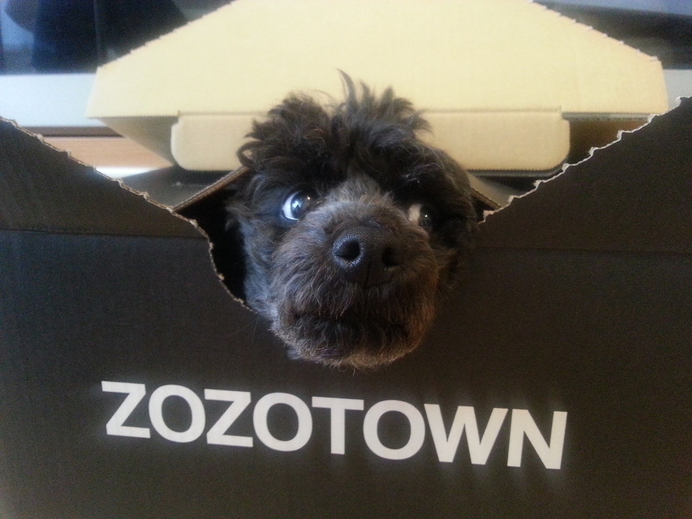 プロフィール画像