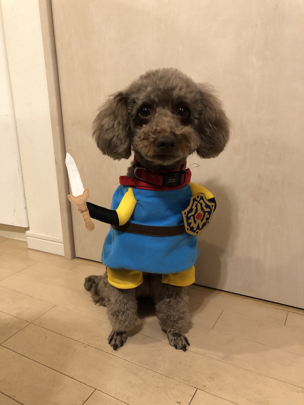 プロフィール画像