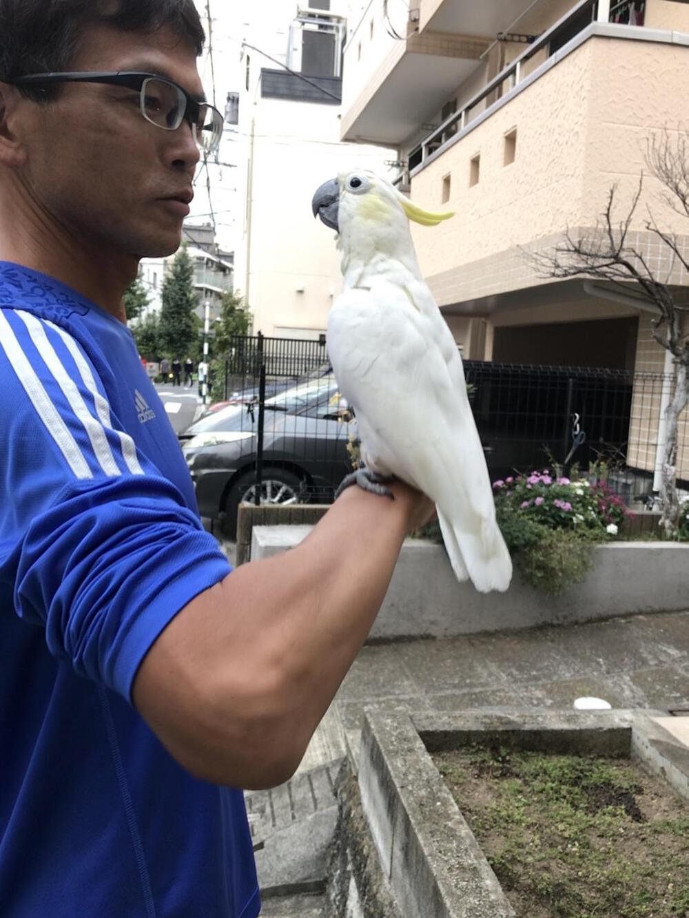 Yoshi Fukuchi