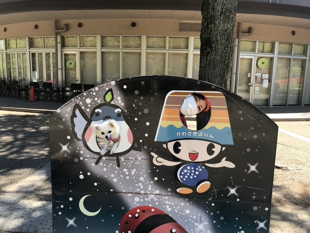 メリリンモンロー